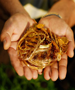 gold_hand